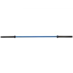 us2FGLG2M15KGBLUE0001V02Fgoods_img-v132Fbench-press-bar-m100-10.jpg